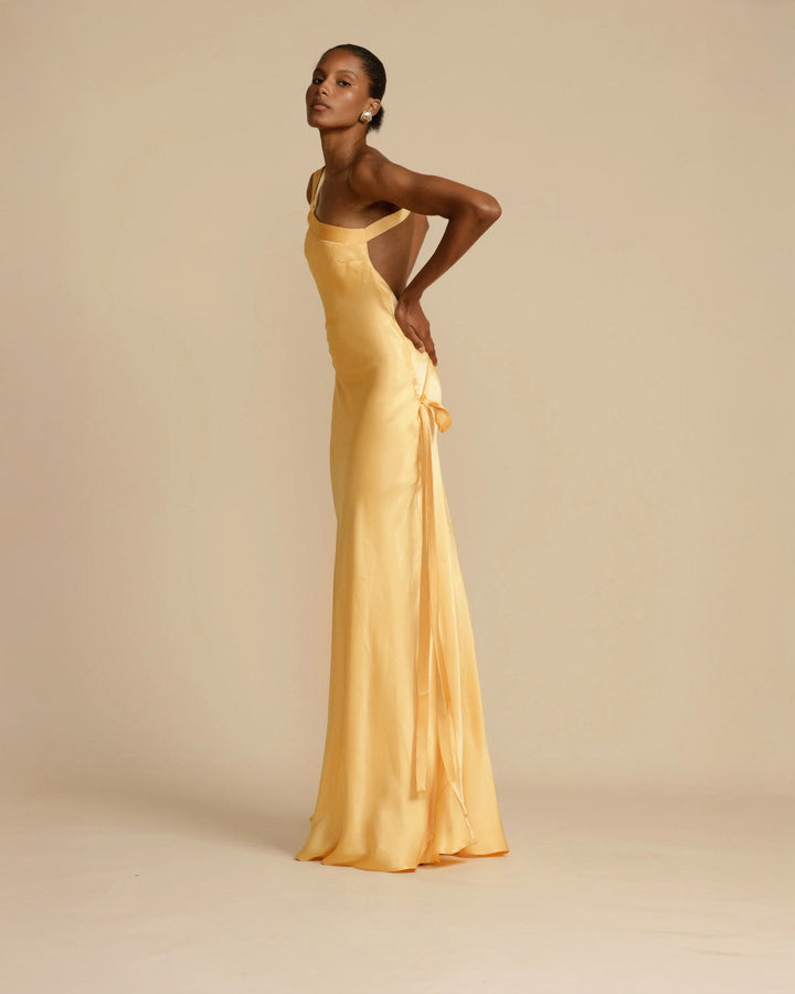 Amara Long Maxi Dress