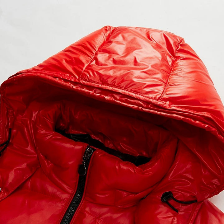 Men's Hooded Insulated Glossy Quilted Jacket Full-Zip Winter Puffer