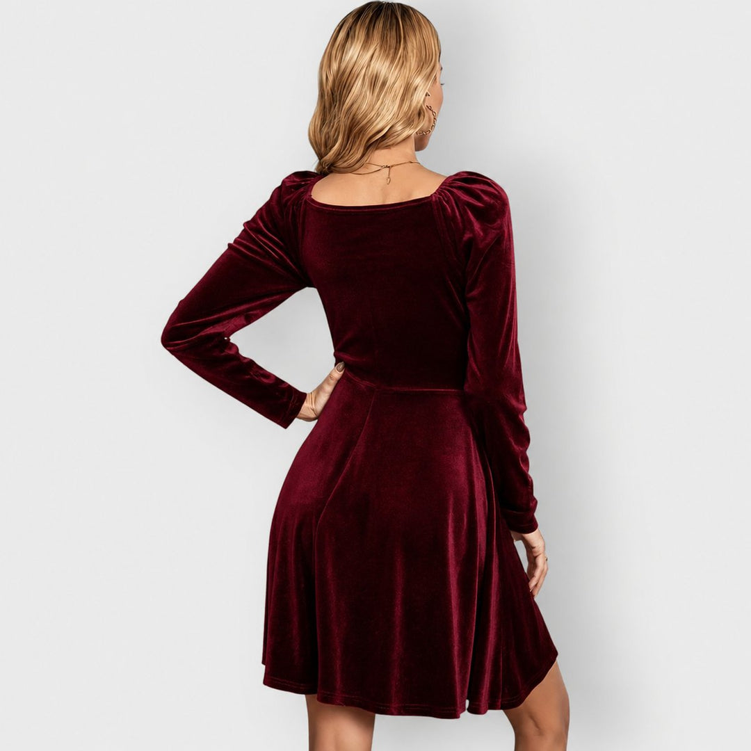 Women's Velvet Skater Formal Dress Deep V-Neck Long Sleeve